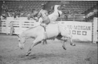 Dennis Landry on Geronimo