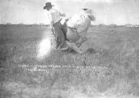 "Sweden" Taking Header with Floyd Stillings, Cheyenne Frontier Days