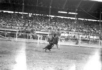 Gov. Ammons Roping Calf Colo. State Fair