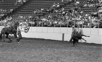 Chas. Lowry Calf roping