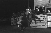 Kirk Allmon on Bull #27