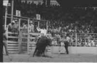 Jerry Wright on Bull #173