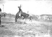 Wallace Burk on "Come Apart" Livingston Rodeo