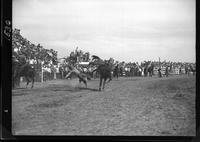 Eugene Benner off Tombstone