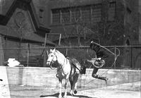 [Possibly Junior Eskew mounting horse while jumping through his own spinning rope loop]