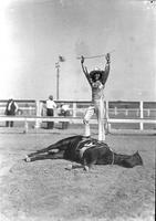 [Unidentified cowgirl standing on side of lying horse]