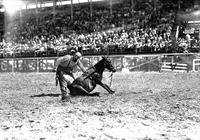 [Unidentified rodeo clown with mule in arena]
