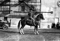 [Unidentified cowboy atop stationary horse and holding rope loop at his side]