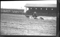 Bill Steppe Calf Roping