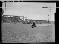 Homer Pettigrew Calf Roping