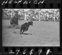 John Rose Calf Roping
