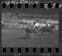 Tripp Carter - Chuck Sheppard Team Roping