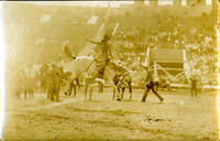 Bonnie McCarroll saddle bronc riding