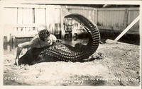 George Coppinger wrestling alligator, Pirate's Cove