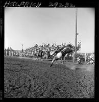 Bill Martinelli on Cheyenne