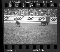 Kenneth Kelly Calf Roping