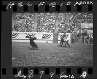 Kenneth Kelly Calf Roping