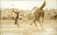 Spill in bucking contest Pendleton Round-Up