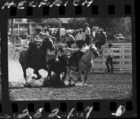 Allen Keller Steer Wrestling