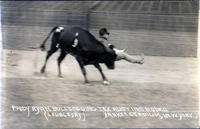 Paddy Ryan Bulldogging Tex Austins Rodeo, Yankee Stadium, New York
