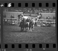 Roy Duvall Steer Wrestling