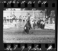 Dick Rosenberg Calf Roping