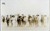 Seven Cowgirls & their seven horses