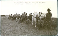 Mowing alfalfa on Miller Bros. 101 Ranch Bliss, Okla