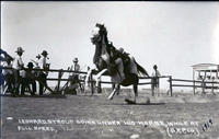 Leonard Stroud going under his horse, while at Full Speed