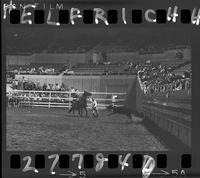 Jim Bob Altizer Calf Roping