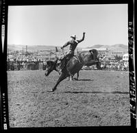 Bill Martinelli on Cheyenne