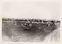 "Pictures of Old Oklahoma Days" - [Shantytown]