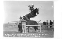 Leonard Stroud jumping Black Diamond over two horses