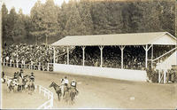 Crowded stands at the rodeo