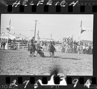 Wayne Rennaud Steer Wrestling