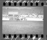 Woodie Bell Steer Wrestle