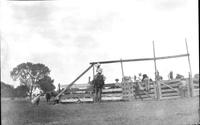 [Unknown cowboy, saddle bronc riding]