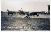 Gene Ross Bulldogging, Burwell Rodeo