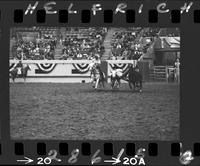 Jack Roddy Steer Wrestling