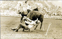 Tex Austin Rodeo, Chicago, Morgan Evans Steer Wrestling