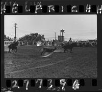 Jim Spurgeon - Al Browning Team Roping