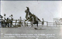 Leonard Stroud going under his horse, while at Full Speed