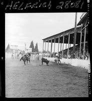 Sonny Tureman - Ace Berry Team Roping