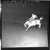 Bill Martinelli on Booger Buck (McKee)