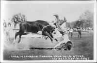 Charlie Johnson thrown from wild steer, 1923