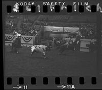 Bill Hamilton - Dale Smith Team Roping