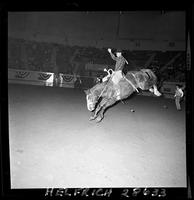 Bill Martinelli on Sunset Strip  (Rod. Inc.)