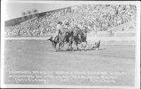 Leonard Stroud roping four horses while standing on his head, Tex Austin Rodeo, Chicago