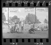 Adrian Carlson Calf Roping