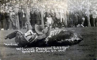 McCarroll Champion Bulldogger RoundUp Pendleton Oregon 1916